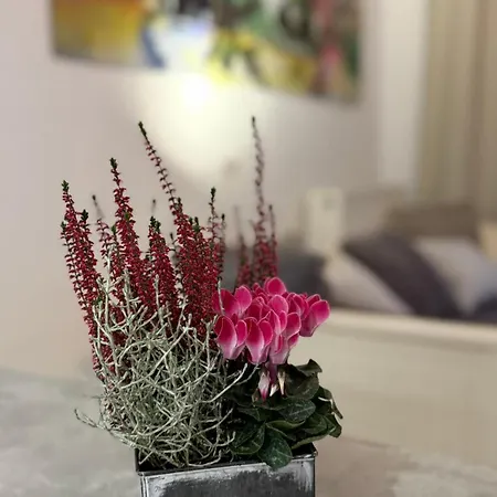 Moderne Beim Augustinerkloster Direkt In Der Altstadt Apartament *