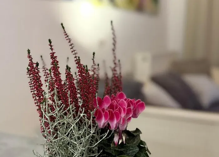 Moderne Beim Augustinerkloster Direkt In Der Altstadt Daire *