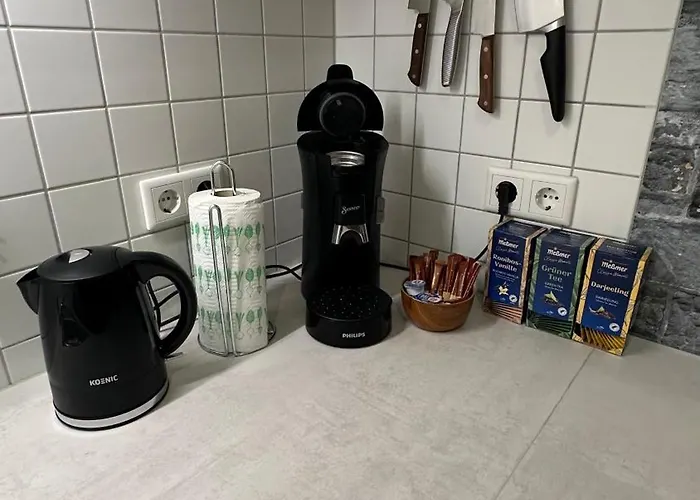 Daire Moderne Beim Augustinerkloster Direkt In Der Altstadt Erfurt